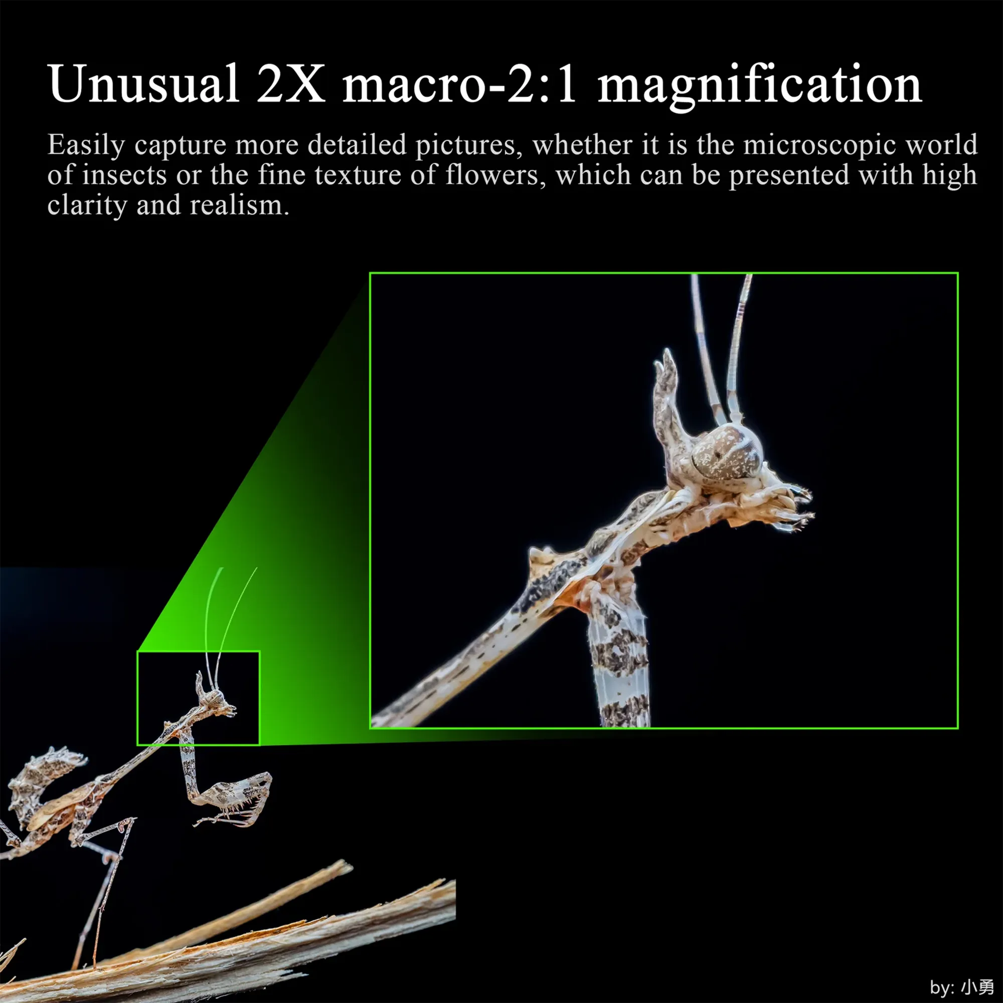 7Artisans 60mm f/2.8 Full-Frame 2X Ultra-Macro Lens - Nikon Z Mount