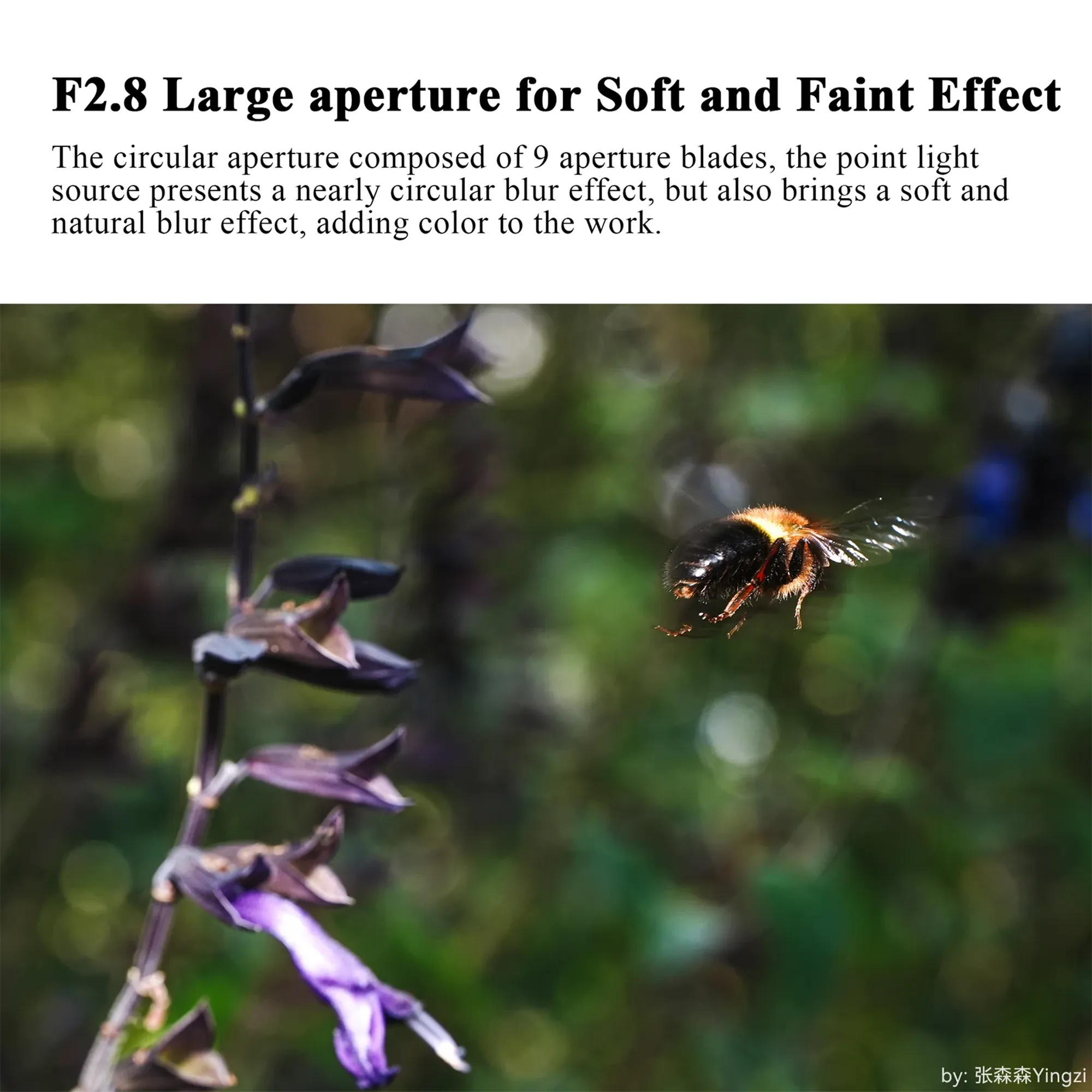 7Artisans 60mm f/2.8 Full-Frame 2X Ultra-Macro Lens - Sony E Mount