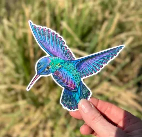Hummingbird Sticker