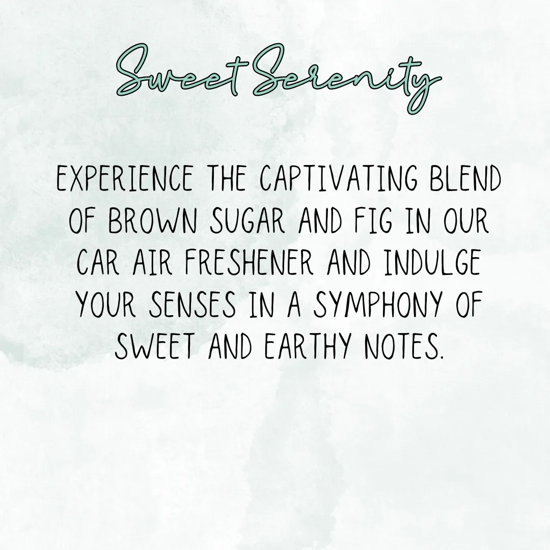 I'm Sorry If I Offended You Re-Scentable Car Freshener