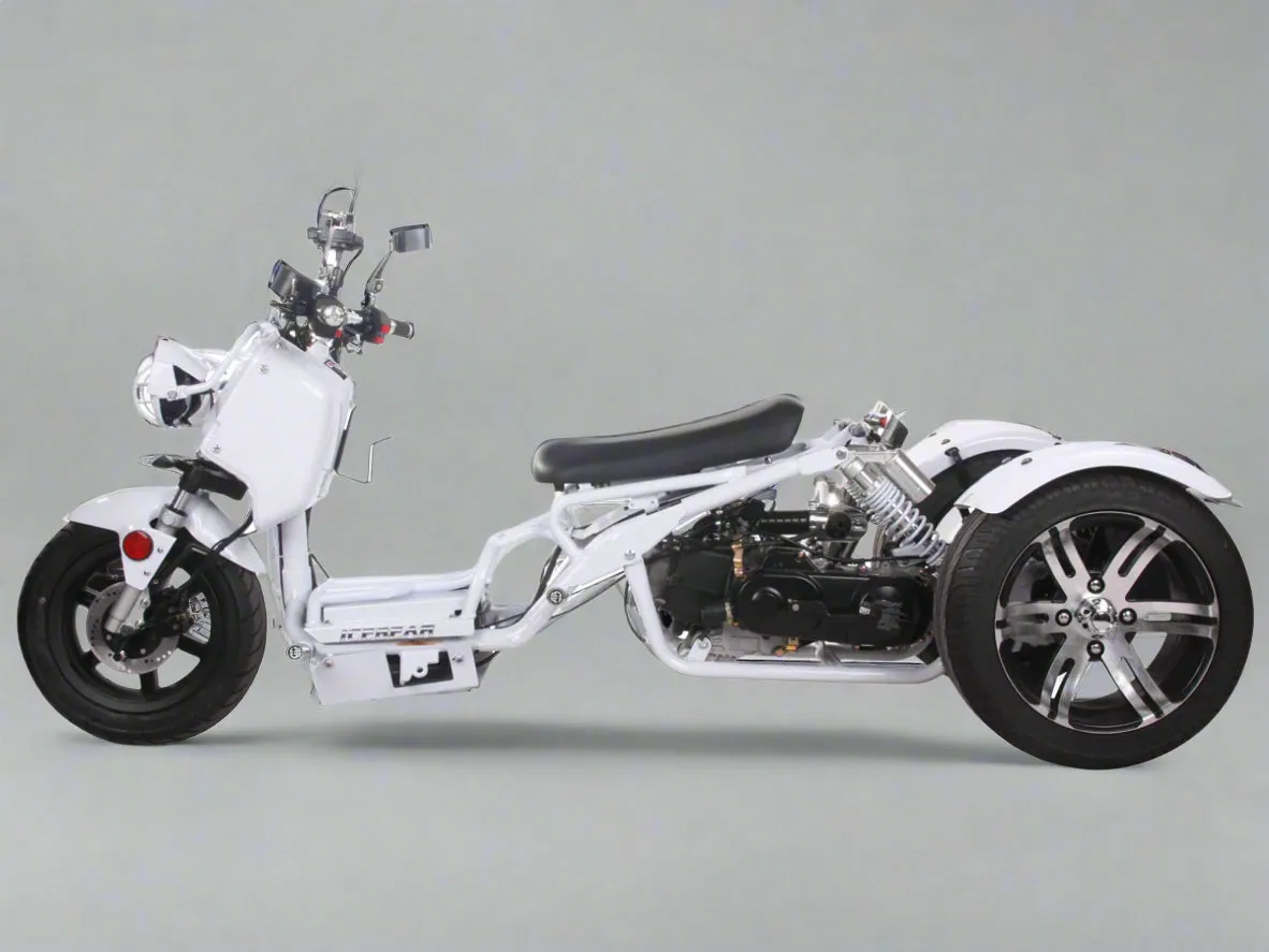 MADDOG 50cc Trike Scooter - IceBear - PST50-19N