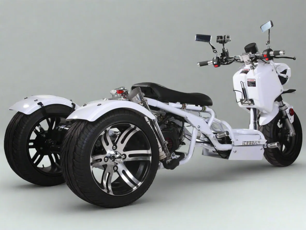 MADDOG 50cc Trike Scooter - IceBear - PST50-19N