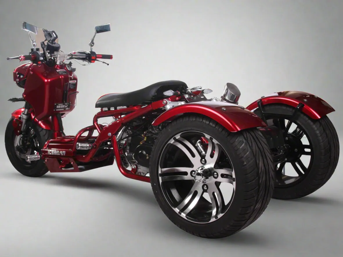MADDOG 50cc Trike Scooter - IceBear - PST50-19N
