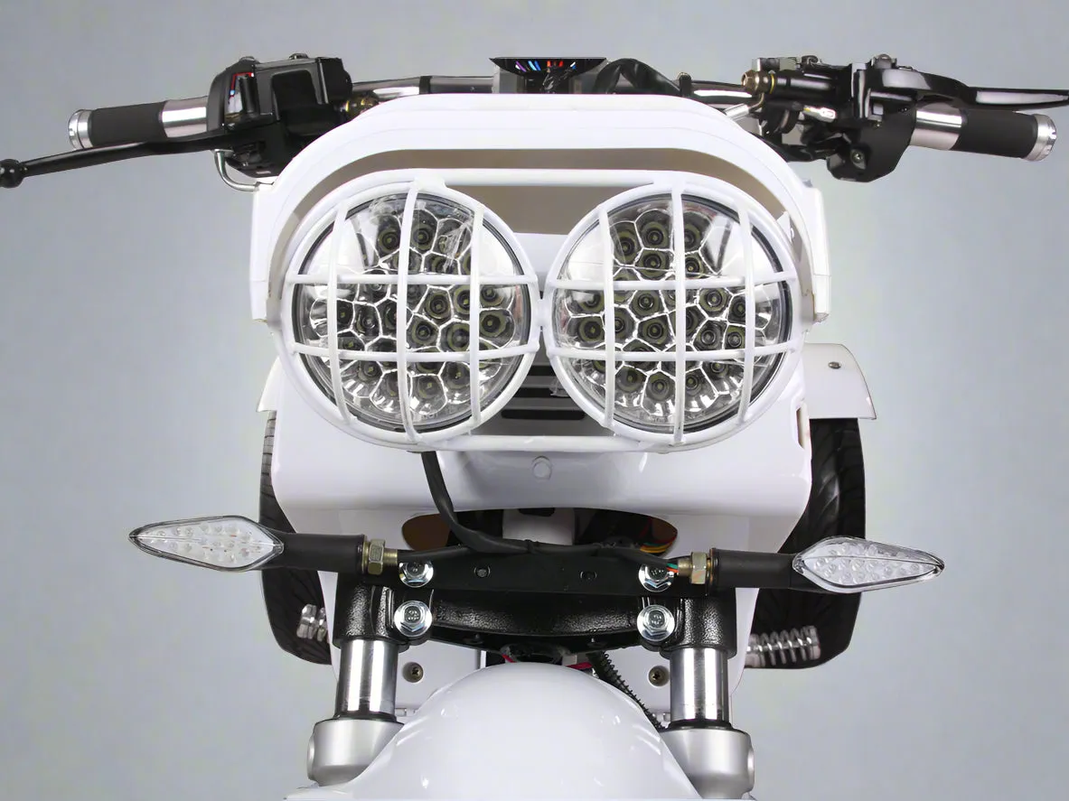 MADDOG 50cc Trike Scooter - IceBear - PST50-19N