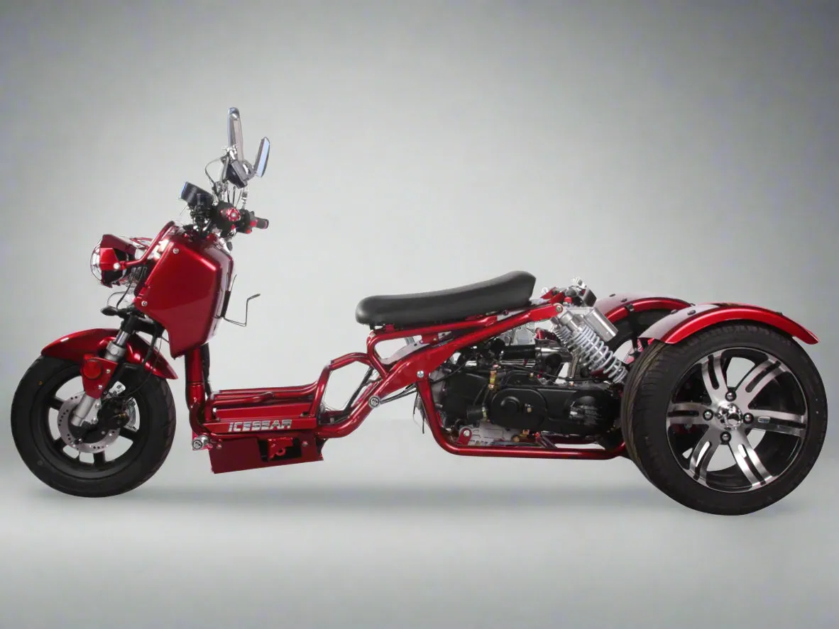 MADDOG 50cc Trike Scooter - IceBear - PST50-19N
