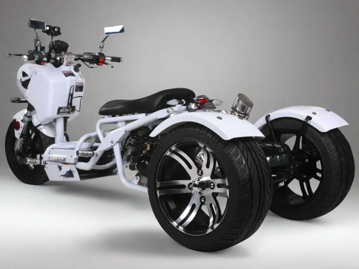 MADDOG 50cc Trike Scooter - IceBear - PST50-19N