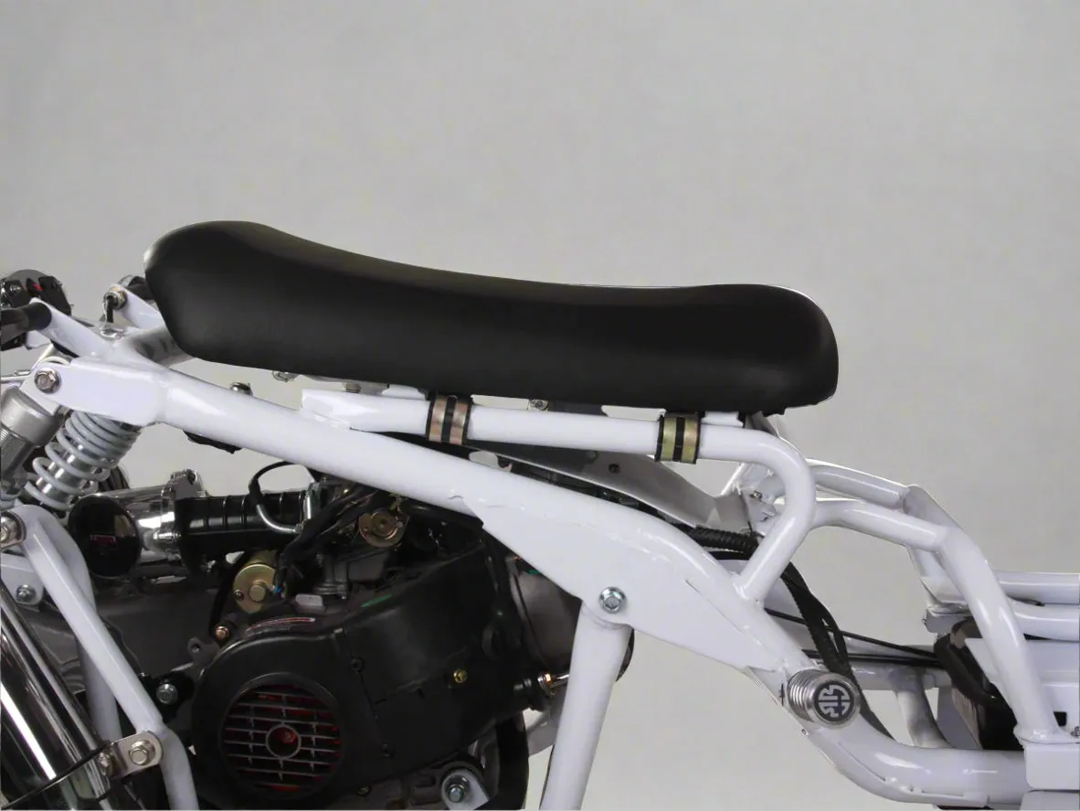 MADDOG 50cc Trike Scooter - IceBear - PST50-19N